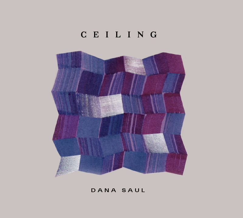 Ceiling, the debut release by pianist and composer Dana Saul, to be released on Endectomorph Music in 2019